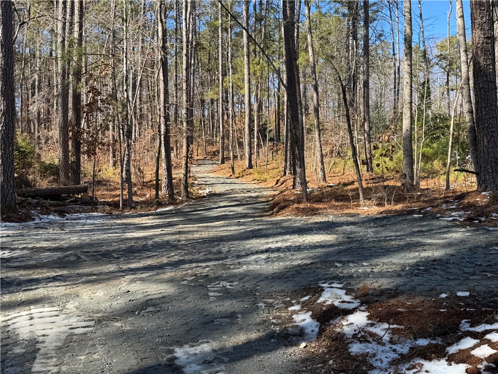 433 Peninsula Road West Union, SC 29696 - Photo 7 of 21