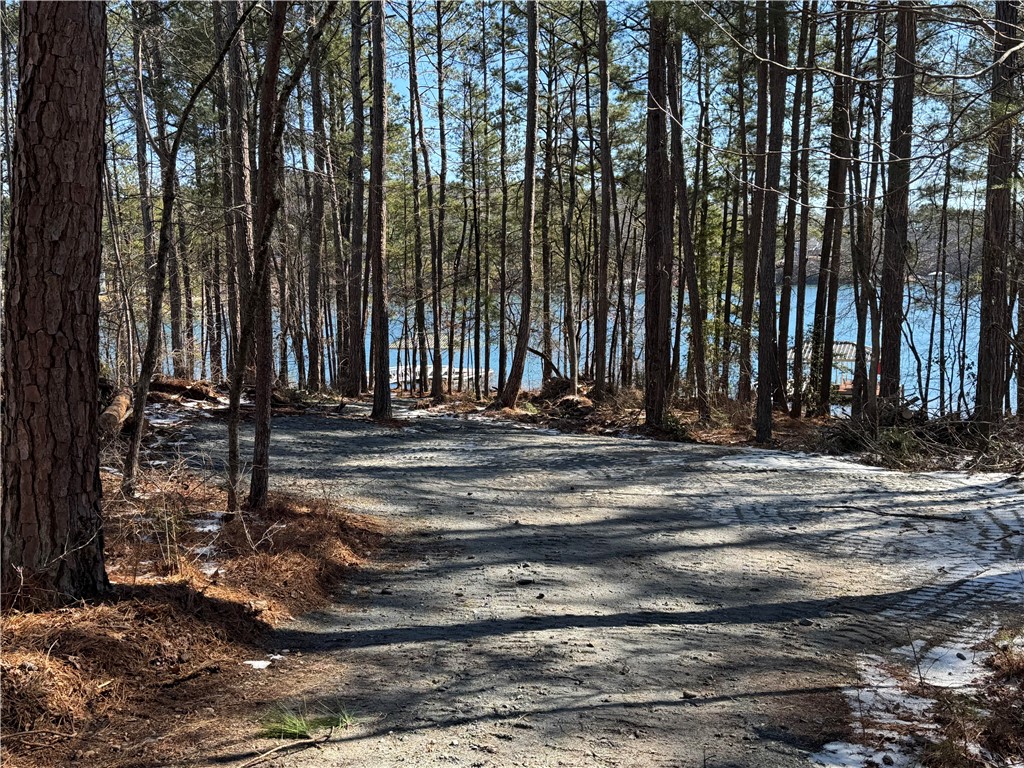 433 Peninsula Road West Union, SC 29696 - Photo 8 of 21