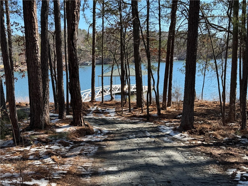 433 Peninsula Road West Union, SC 29696 - Photo 9 of 21