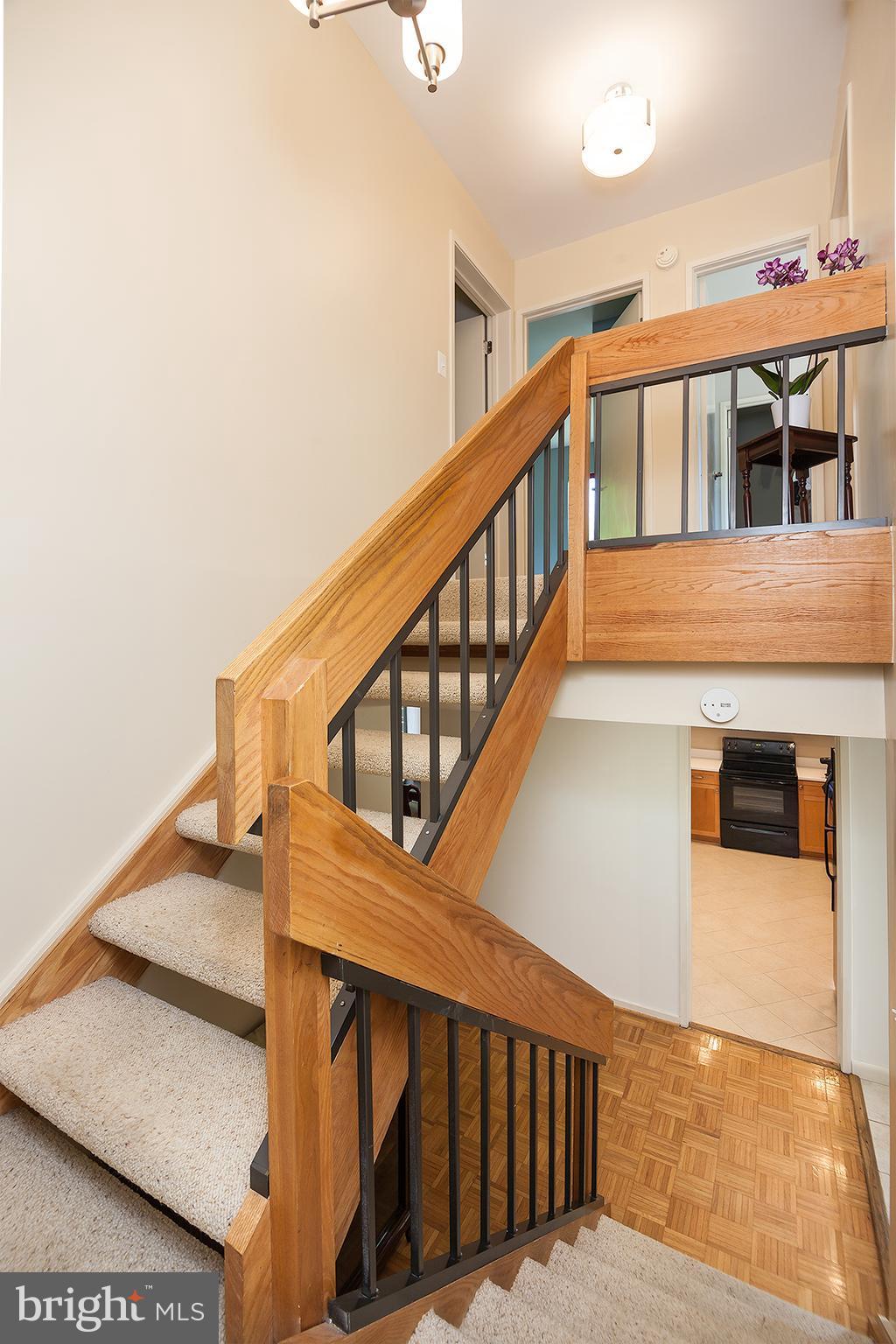 11600 Hunters Green Court Reston, VA 20191 - Photo 11 of 24 carpet on staircase