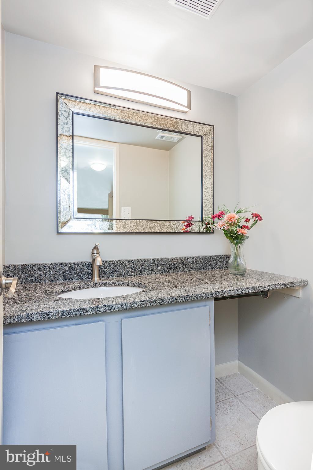 11600 Hunters Green Court Reston, VA 20191 - Photo 21 of 24 Bath on Lower Level