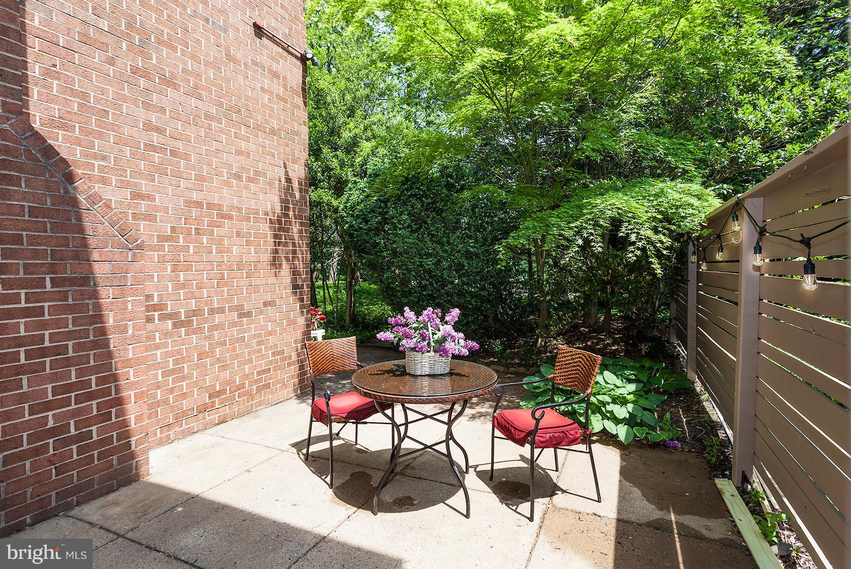 11600 Hunters Green Court Reston, VA 20191 - Photo 5 of 24 Light & Sunshine