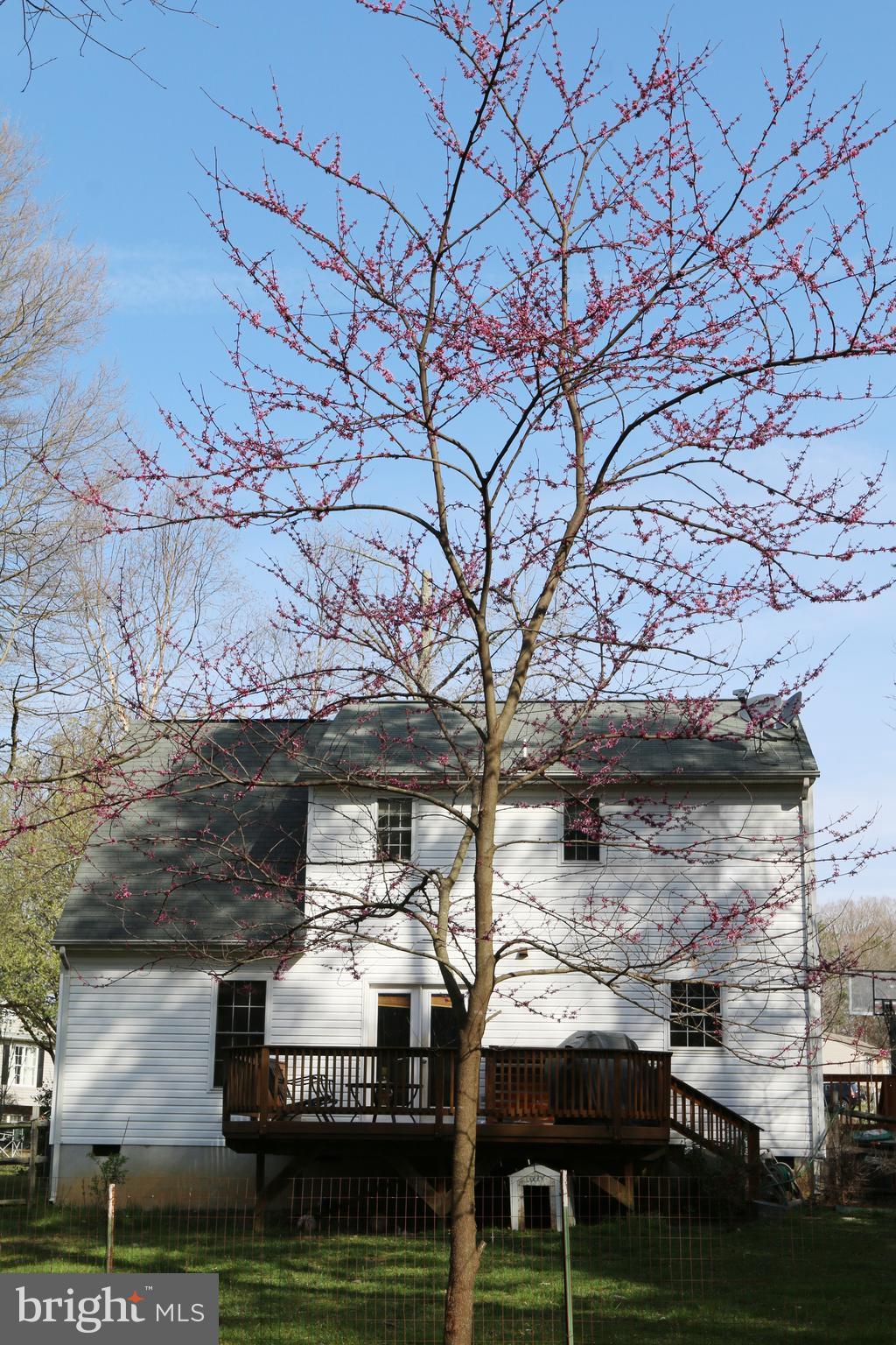 11801 Hunting Ridge Drive Fredericksburg, VA 22407 - Photo 21 of 30 Exterior (Rear)
