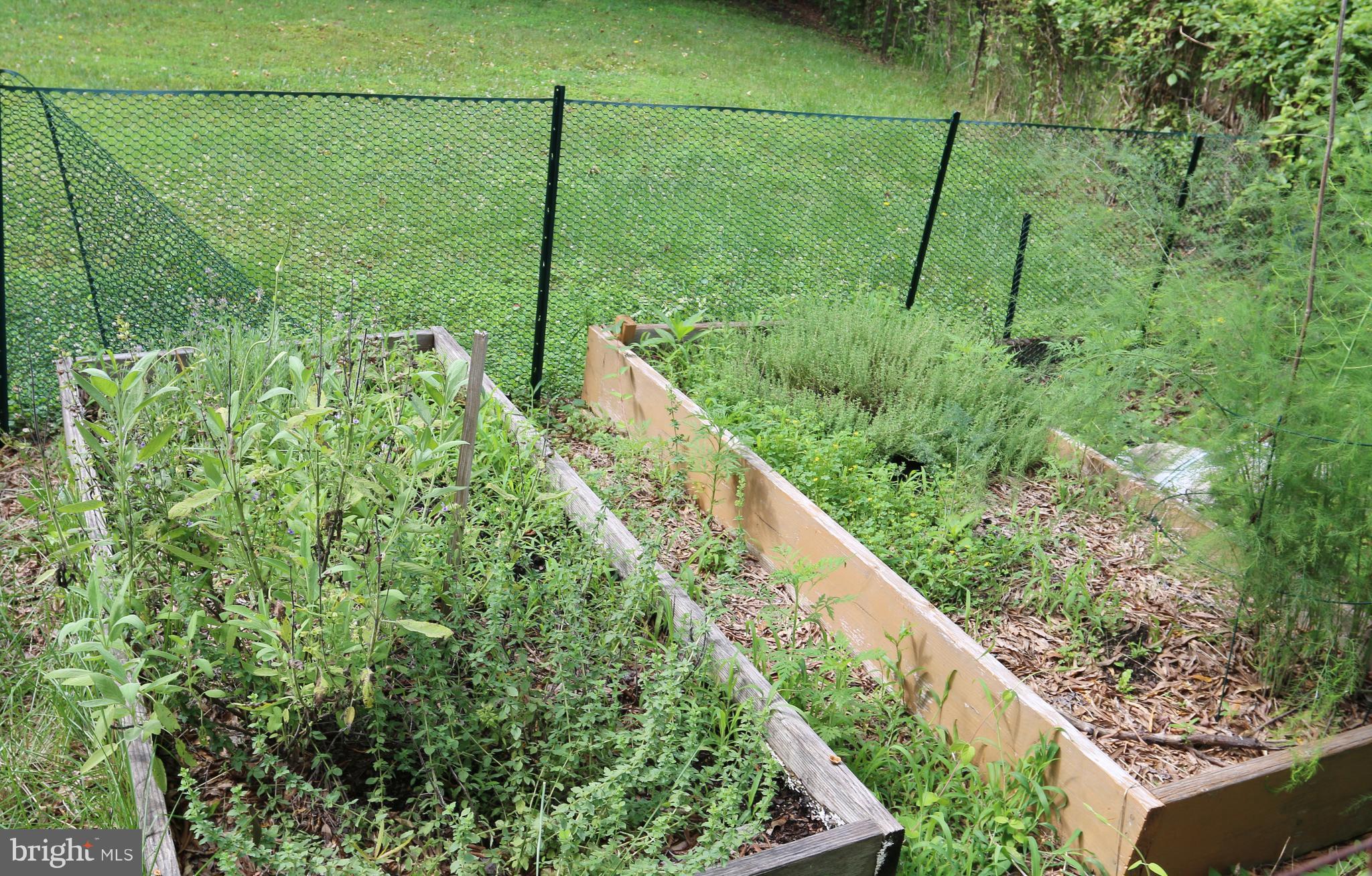 11801 Hunting Ridge Drive Fredericksburg, VA 22407 - Photo 26 of 30 Raised Gardens