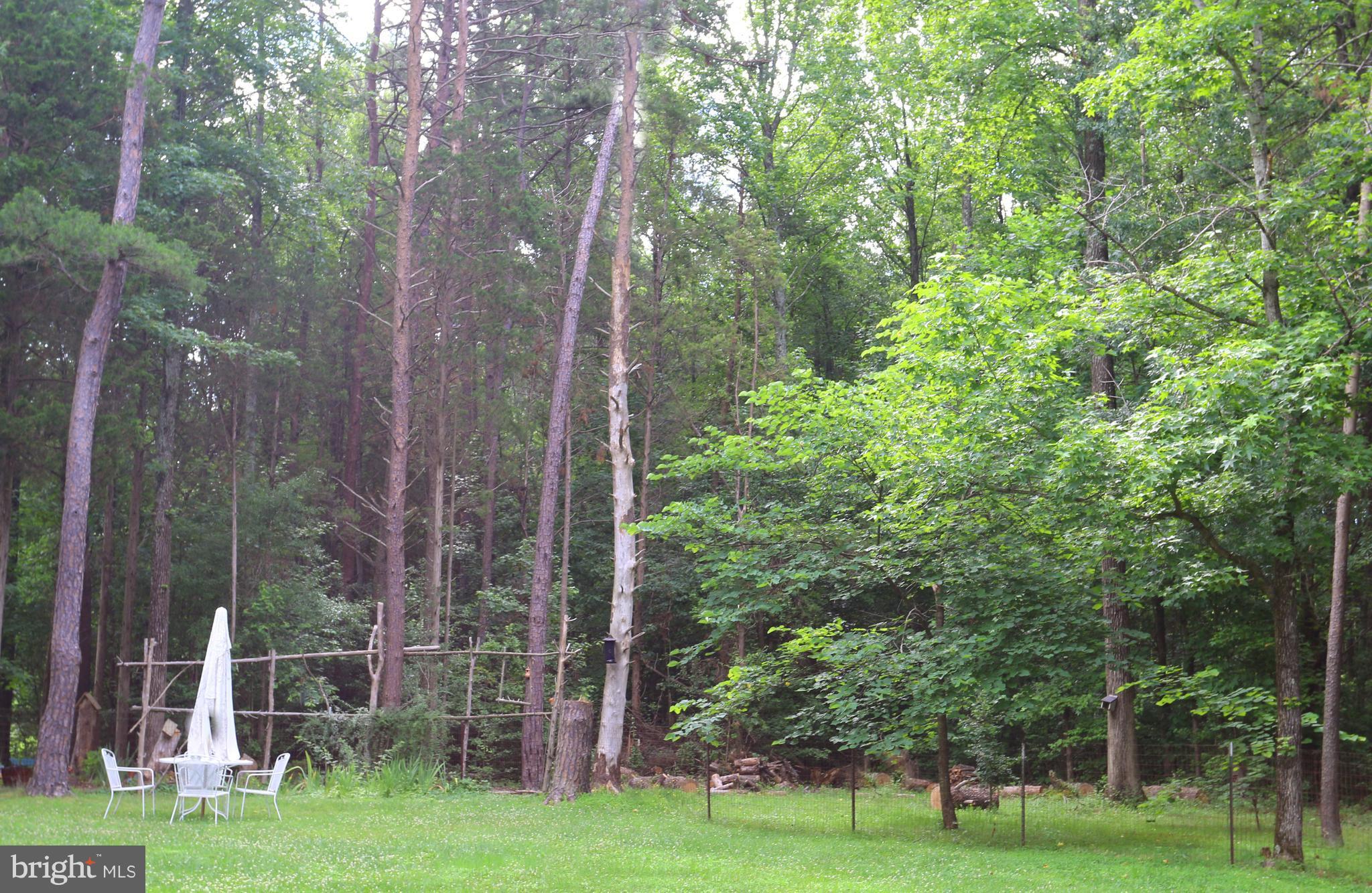11801 Hunting Ridge Drive Fredericksburg, VA 22407 - Photo 27 of 30 Exterior (Rear)