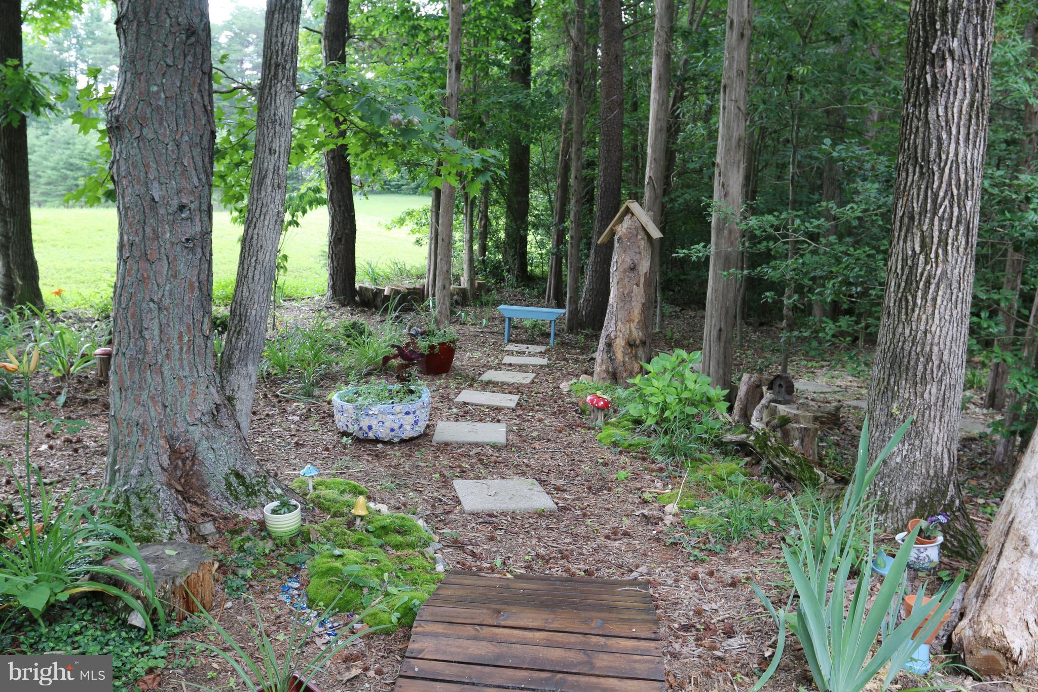 11801 Hunting Ridge Drive Fredericksburg, VA 22407 - Photo 28 of 30 Fairy Garden