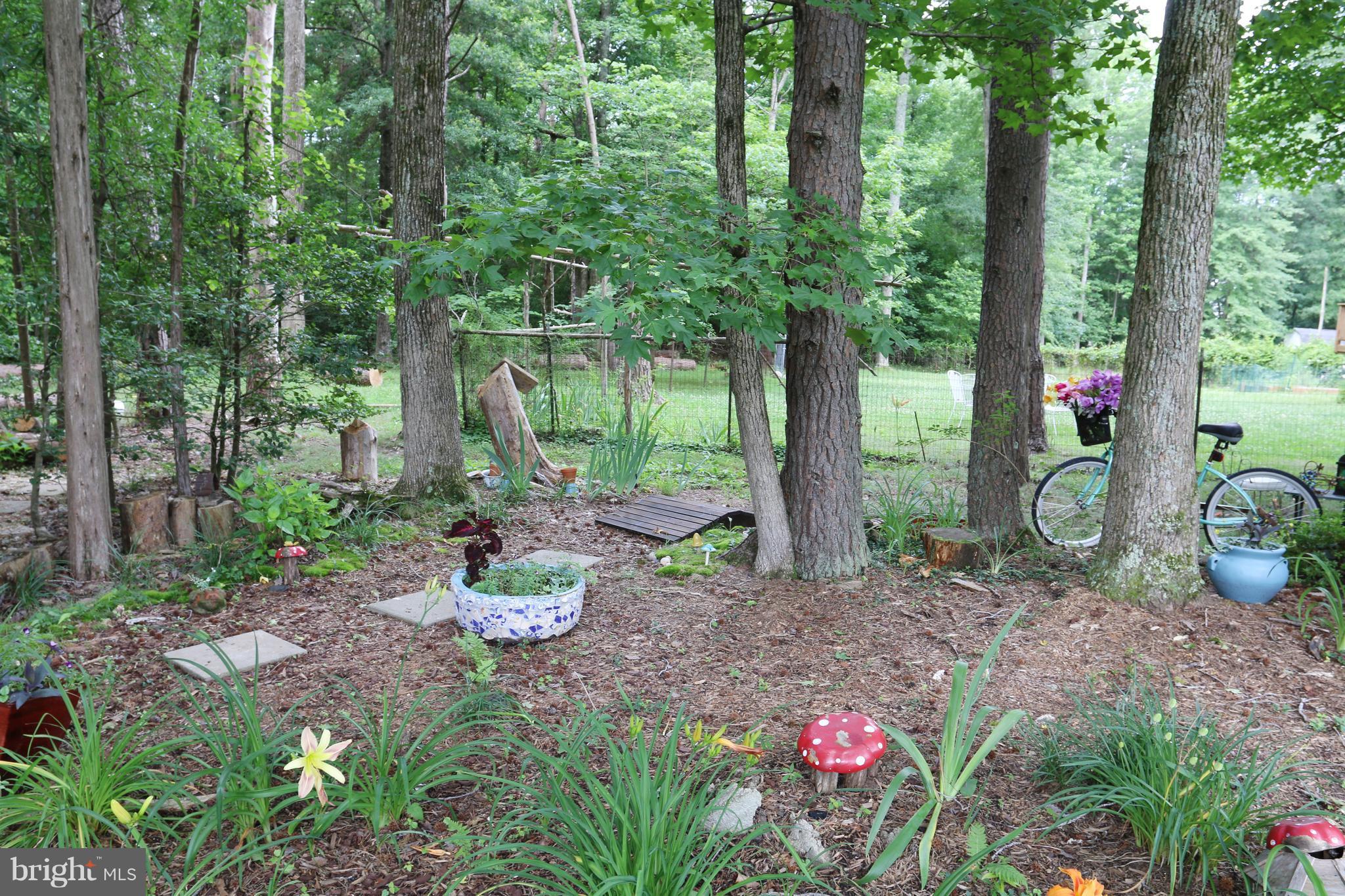 11801 Hunting Ridge Drive Fredericksburg, VA 22407 - Photo 29 of 30 Fairy Garden