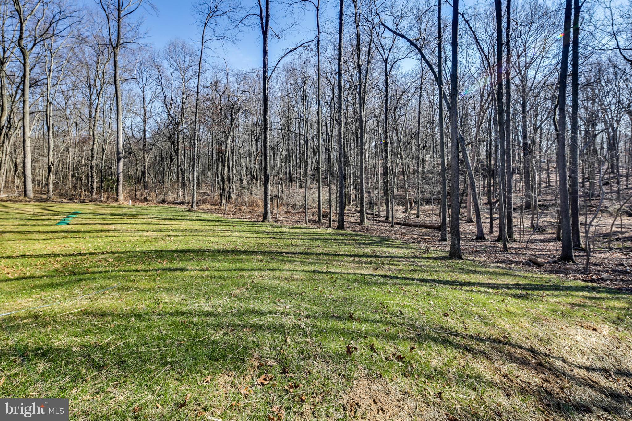 2121 Millers Mill Road Cooksville, MD 21723 - Photo 25 of 27 Lot extends well into the woods