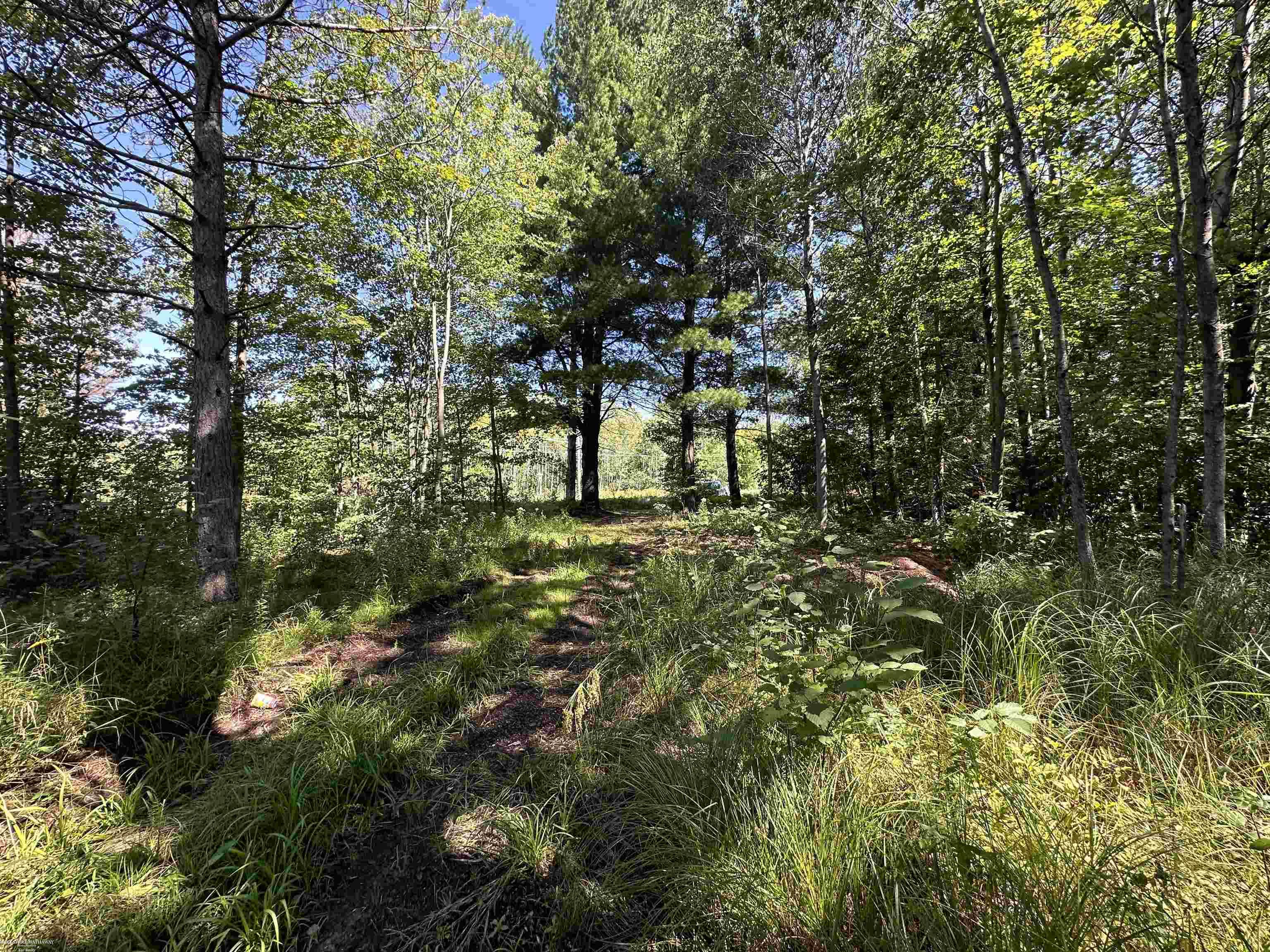 0 Long Lake Road Hale, MI 48739 - Photo 8 of 20