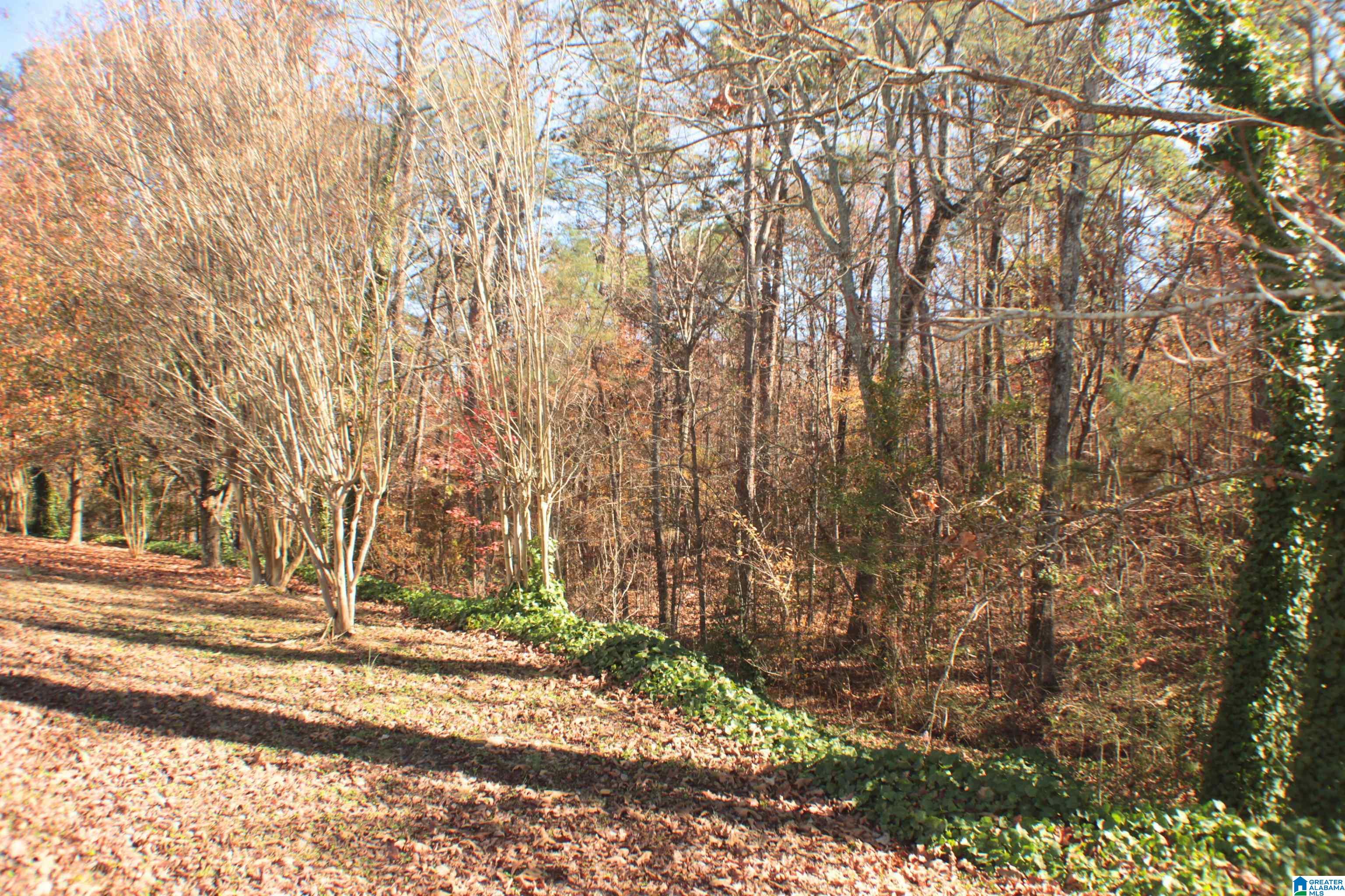 6207 Woodford Road Anniston, AL 36206 - Photo 19 of 28