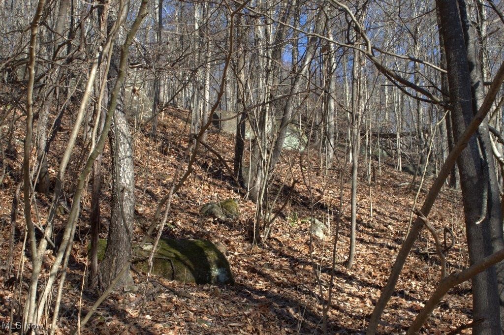 72152 Bates Road Kimbolton, OH 43749 - Photo 3 of 22 View of landscape