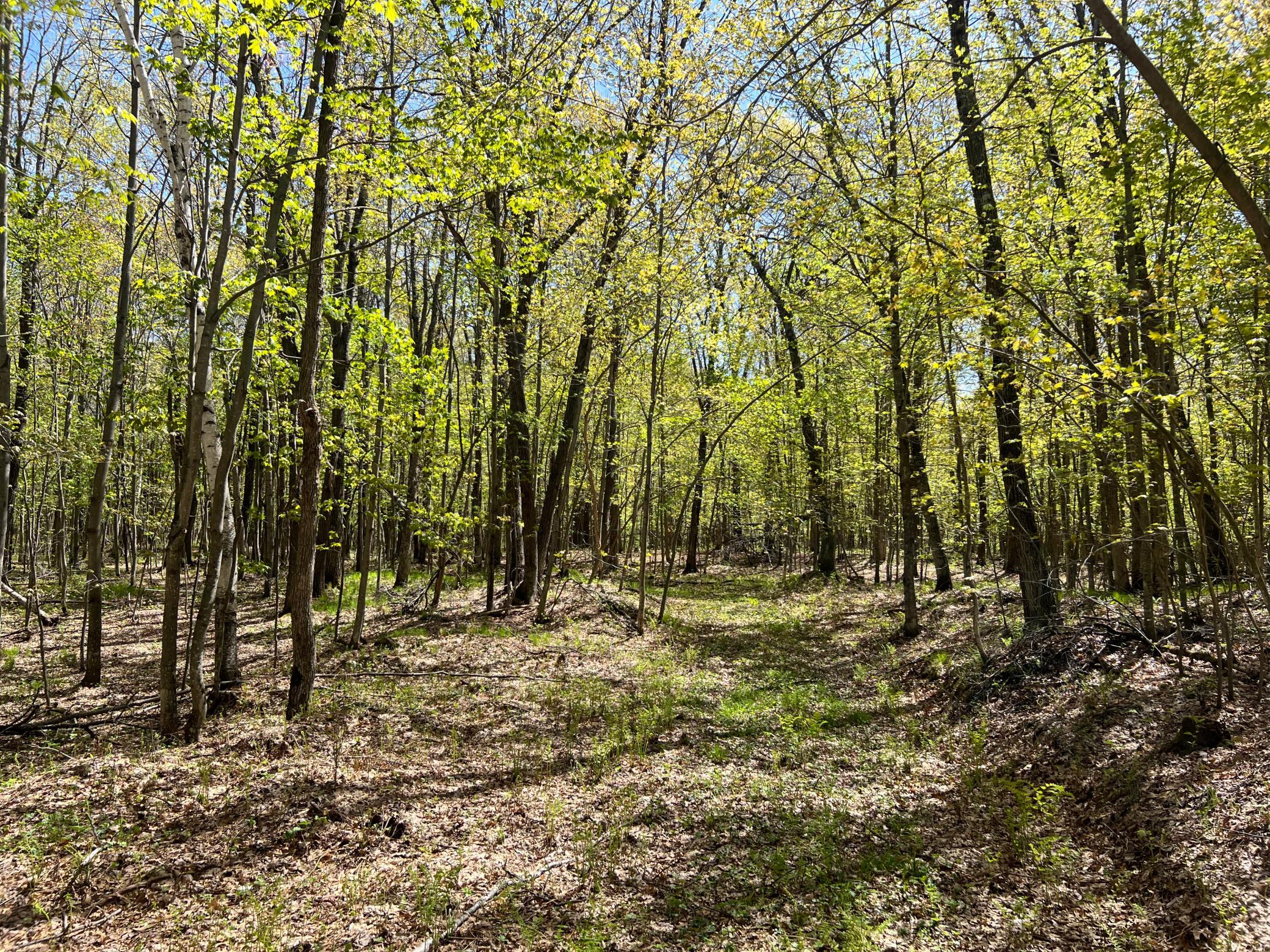 W6474 River Road Trego, WI 54888 - Photo 13 of 19