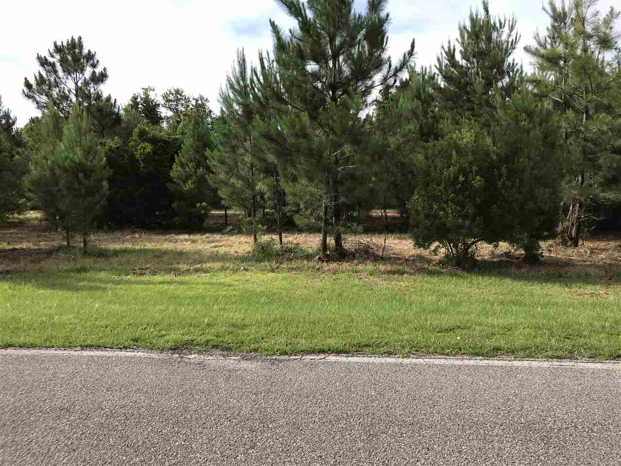 34185 B Waroad Road Stapleton, AL 36578 - Photo 2 of 9