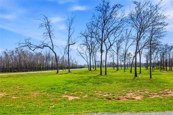 a view of a grassy field with trees