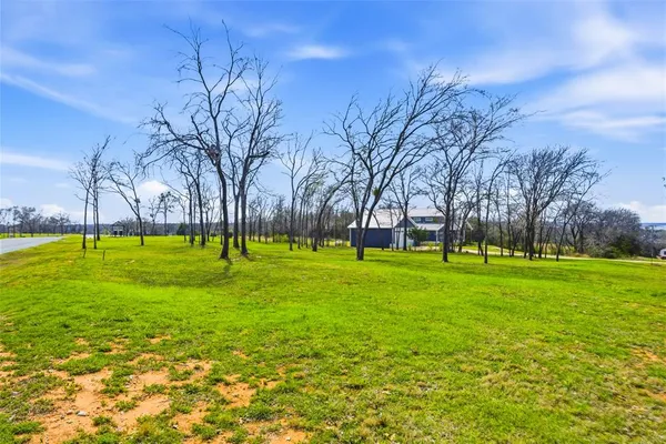 a view of a park with large trees
