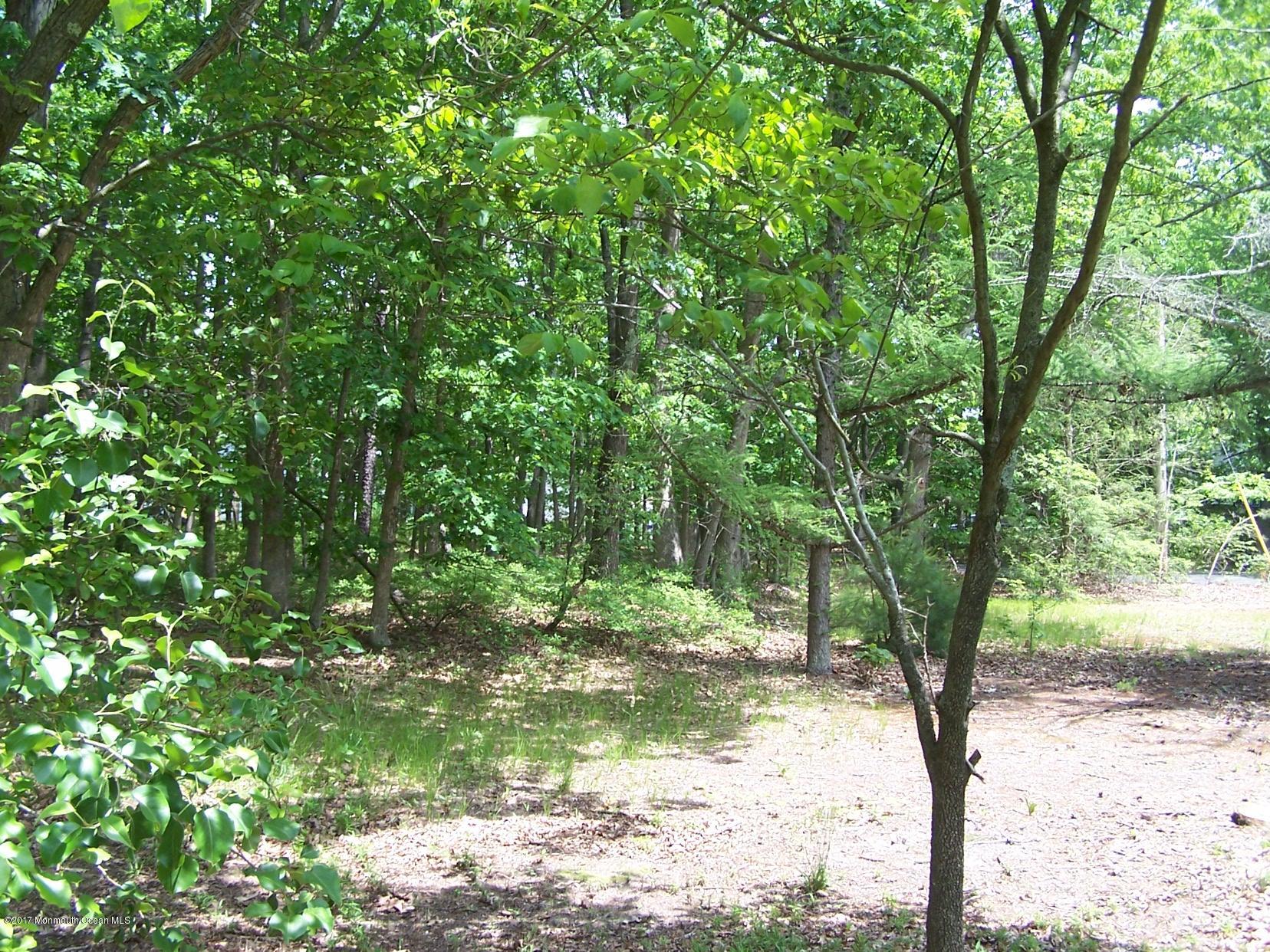 514 Frank Applegate Road Jackson, NJ 08527 - Photo 2 of 8 002