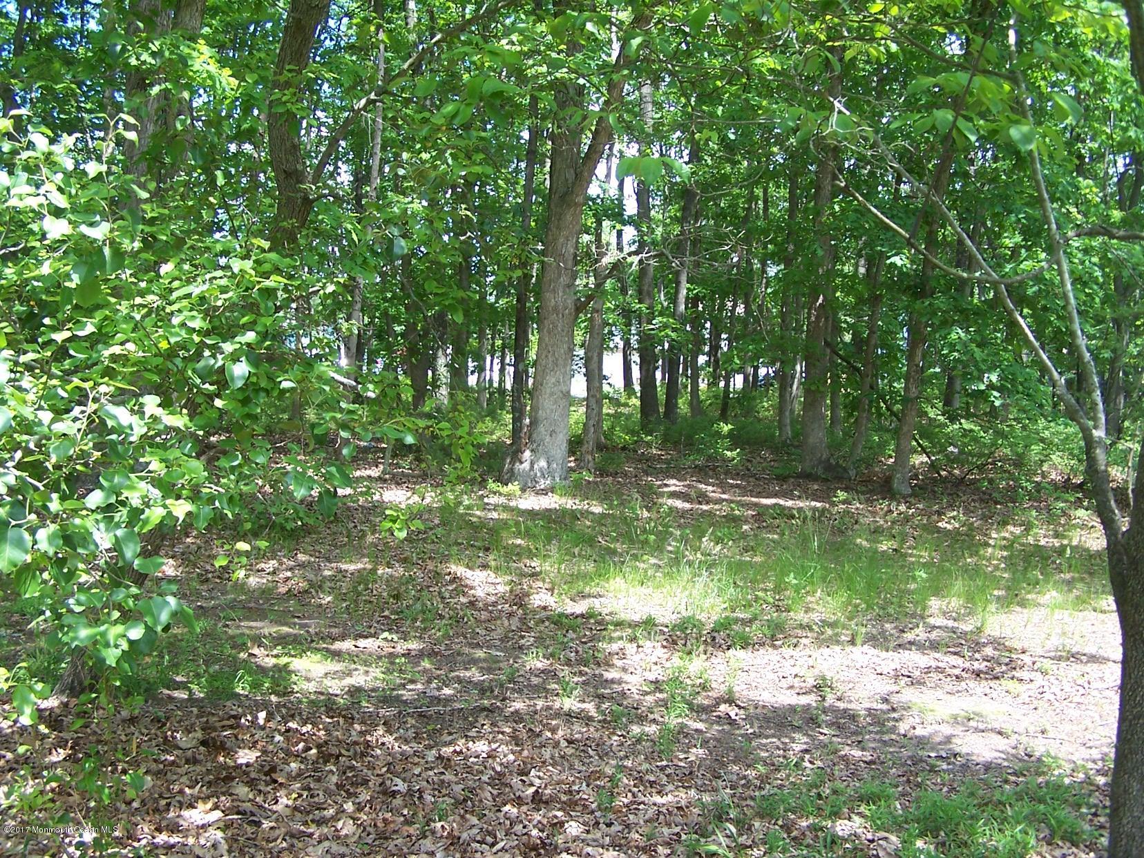 514 Frank Applegate Road Jackson, NJ 08527 - Photo 3 of 8 004