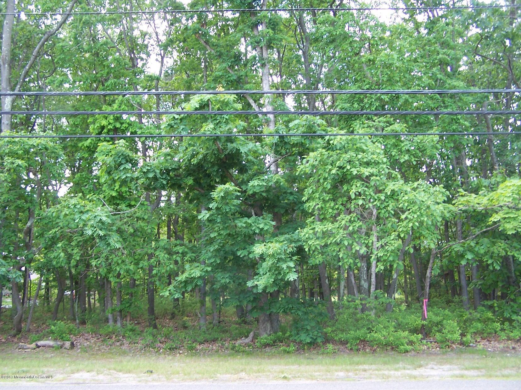 514 Frank Applegate Road Jackson, NJ 08527 - Photo 5 of 8 005
