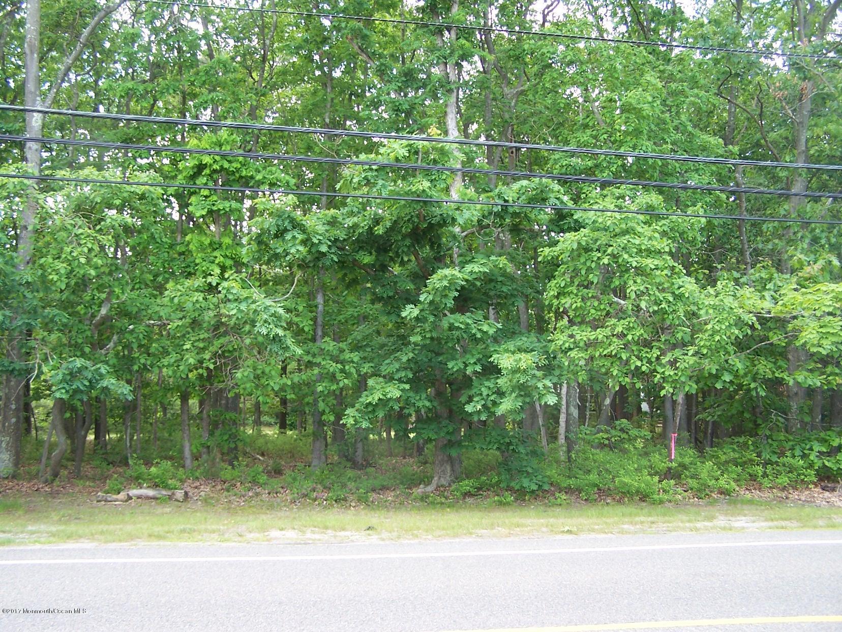 514 Frank Applegate Road Jackson, NJ 08527 - Photo 6 of 8 006