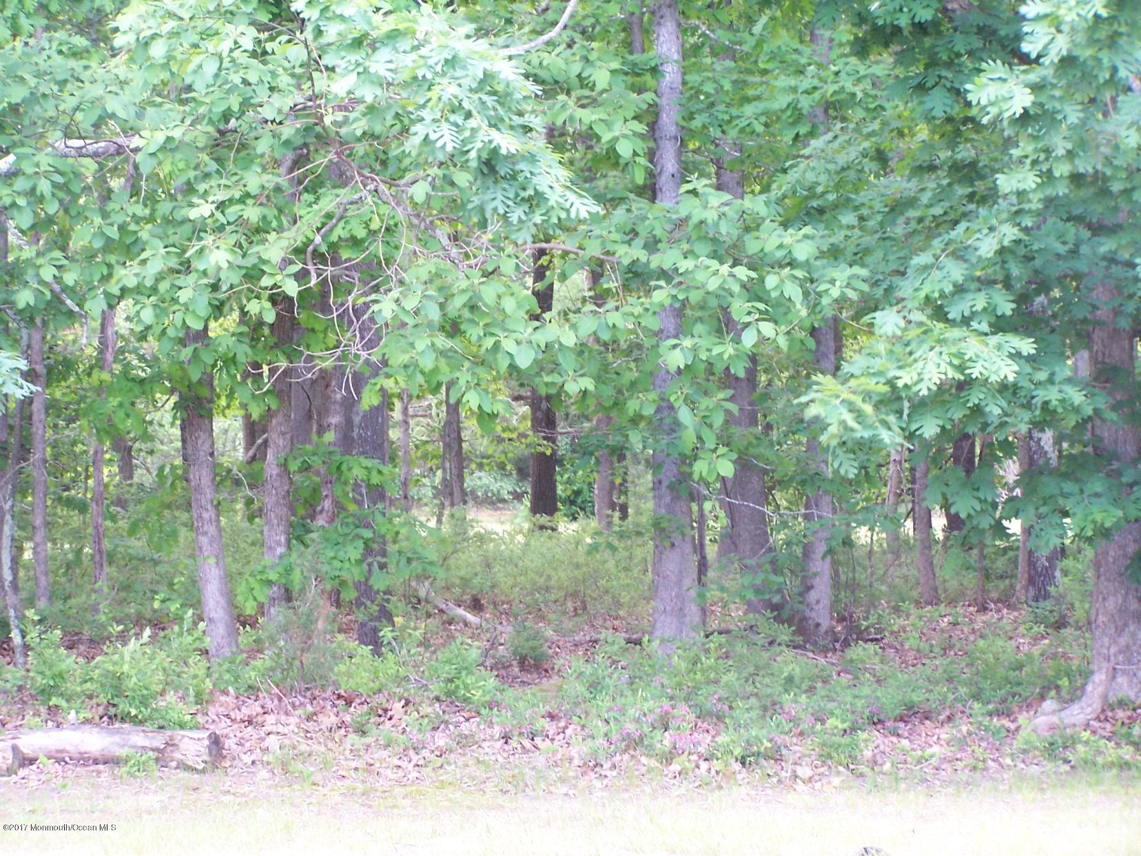 514 Frank Applegate Road Jackson, NJ 08527 - Photo 7 of 8 007