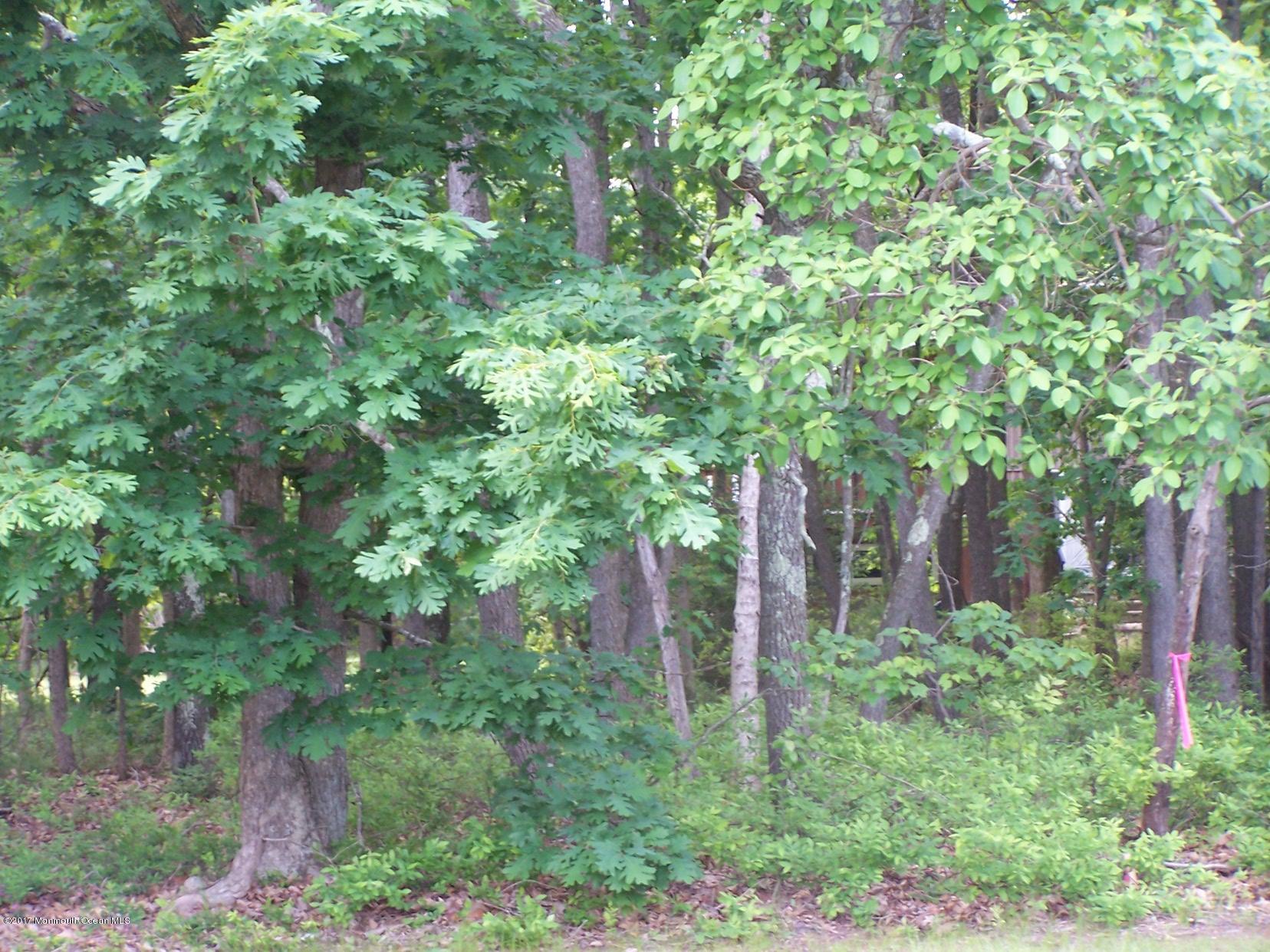 514 Frank Applegate Road Jackson, NJ 08527 - Photo 8 of 8 008