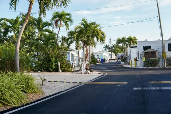 a view of a house with a yard and plant