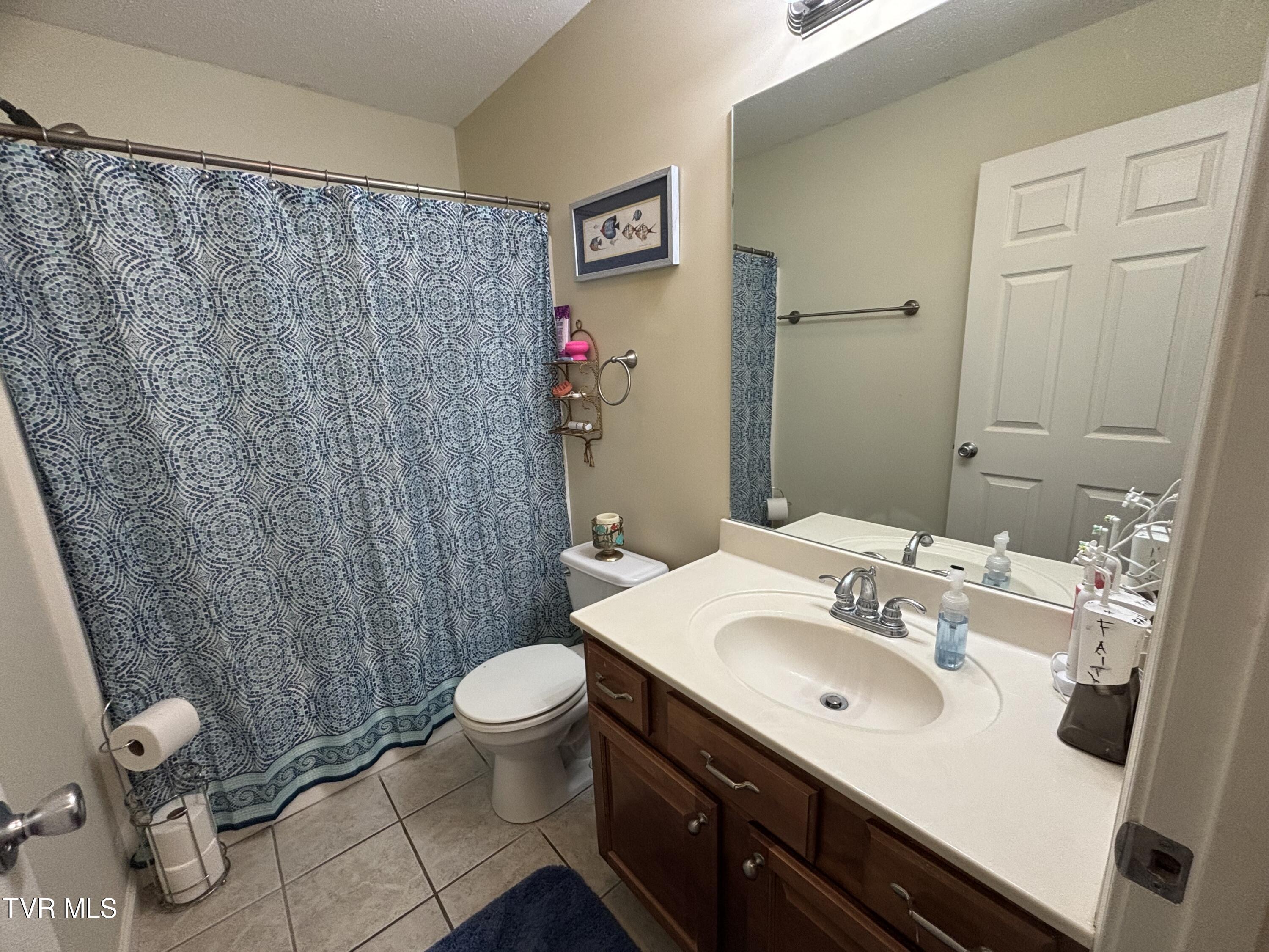 210 Whispering Ridges Road Greeneville, TN 37743 - Photo 17 of 27 Hall Bathroom