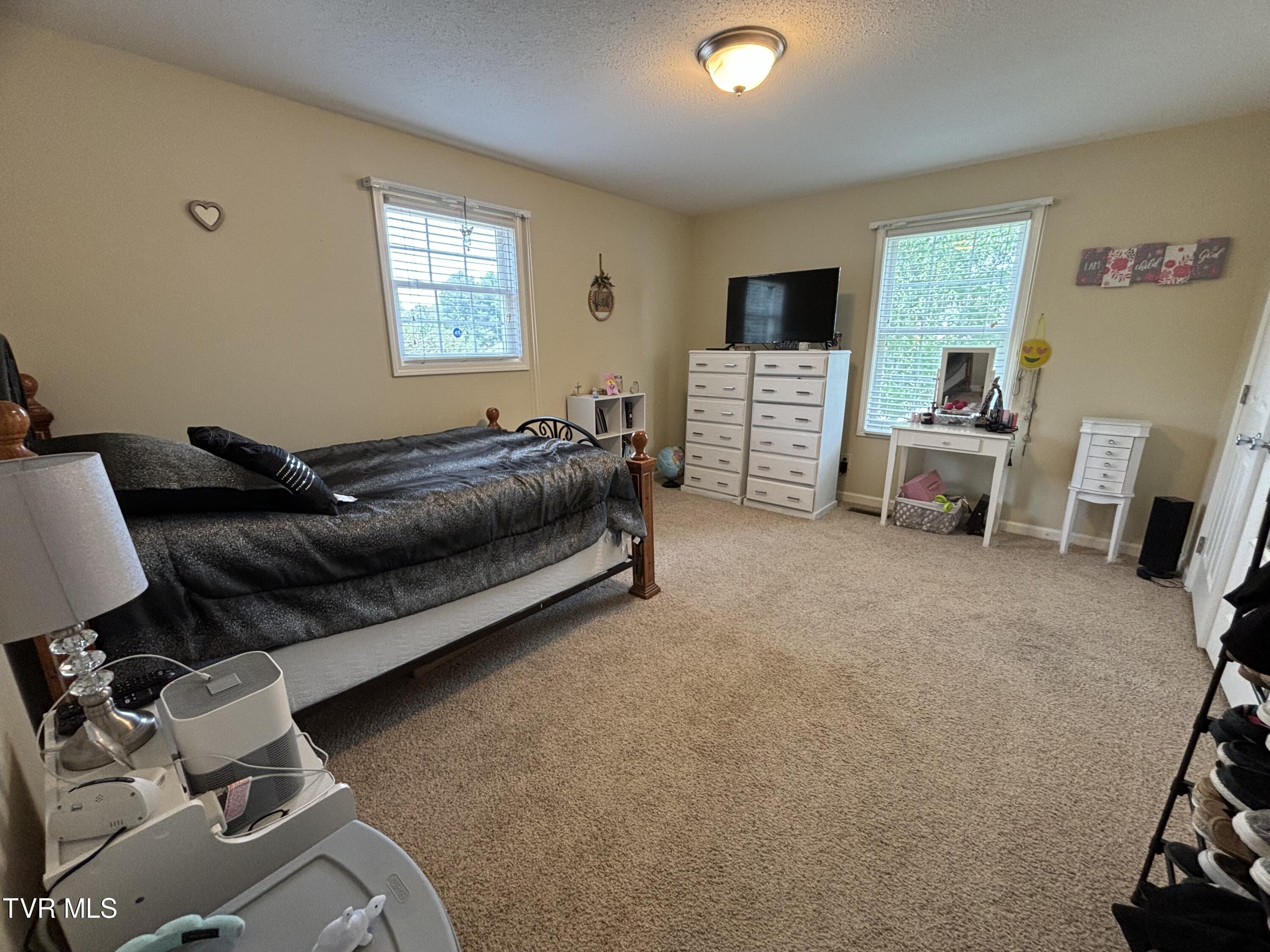 210 Whispering Ridges Road Greeneville, TN 37743 - Photo 24 of 27 Bedroom 3