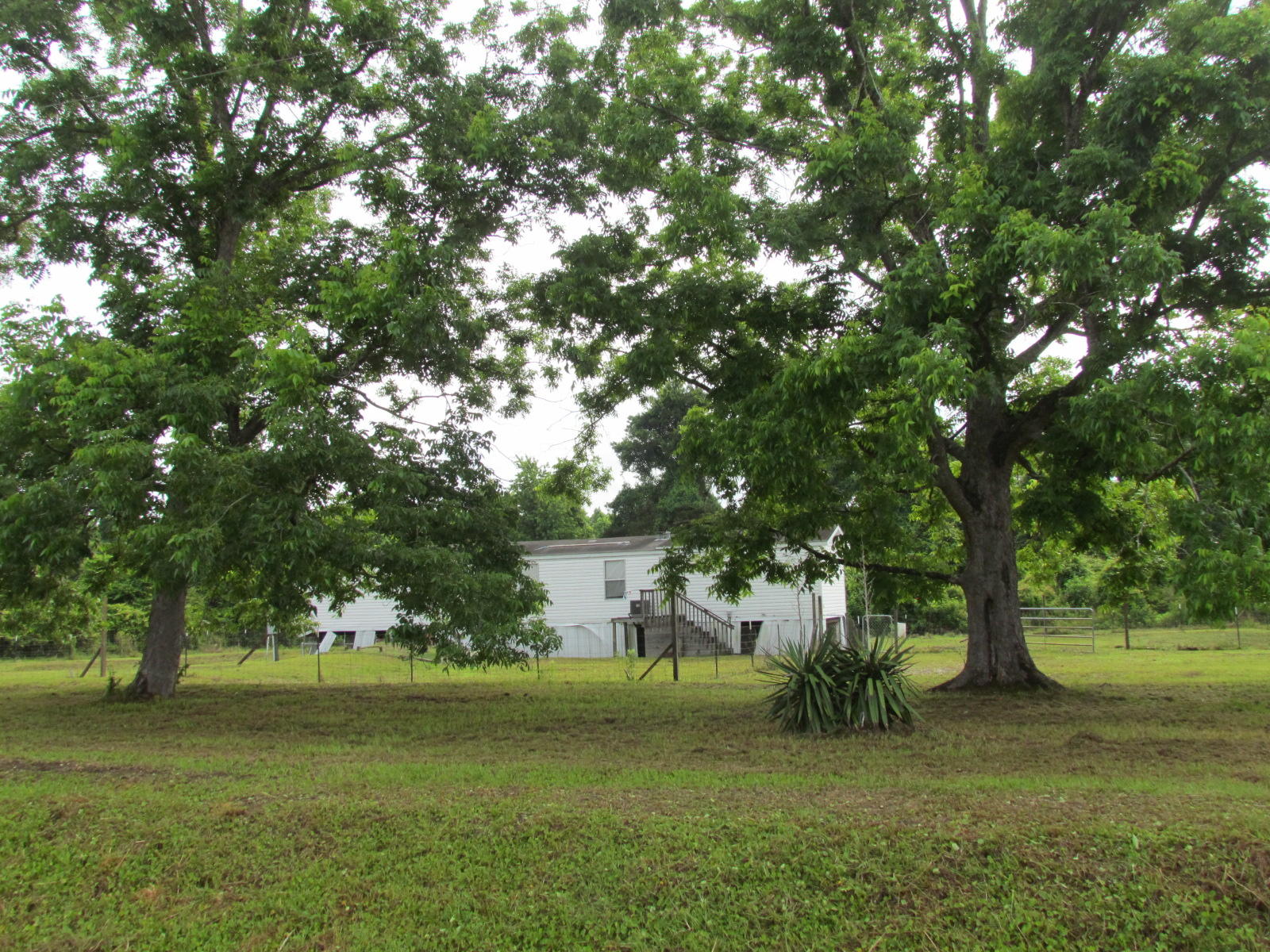 1474 Clark Road Edisto Island, SC 29438 - Photo 1 of 18 IMG_3284