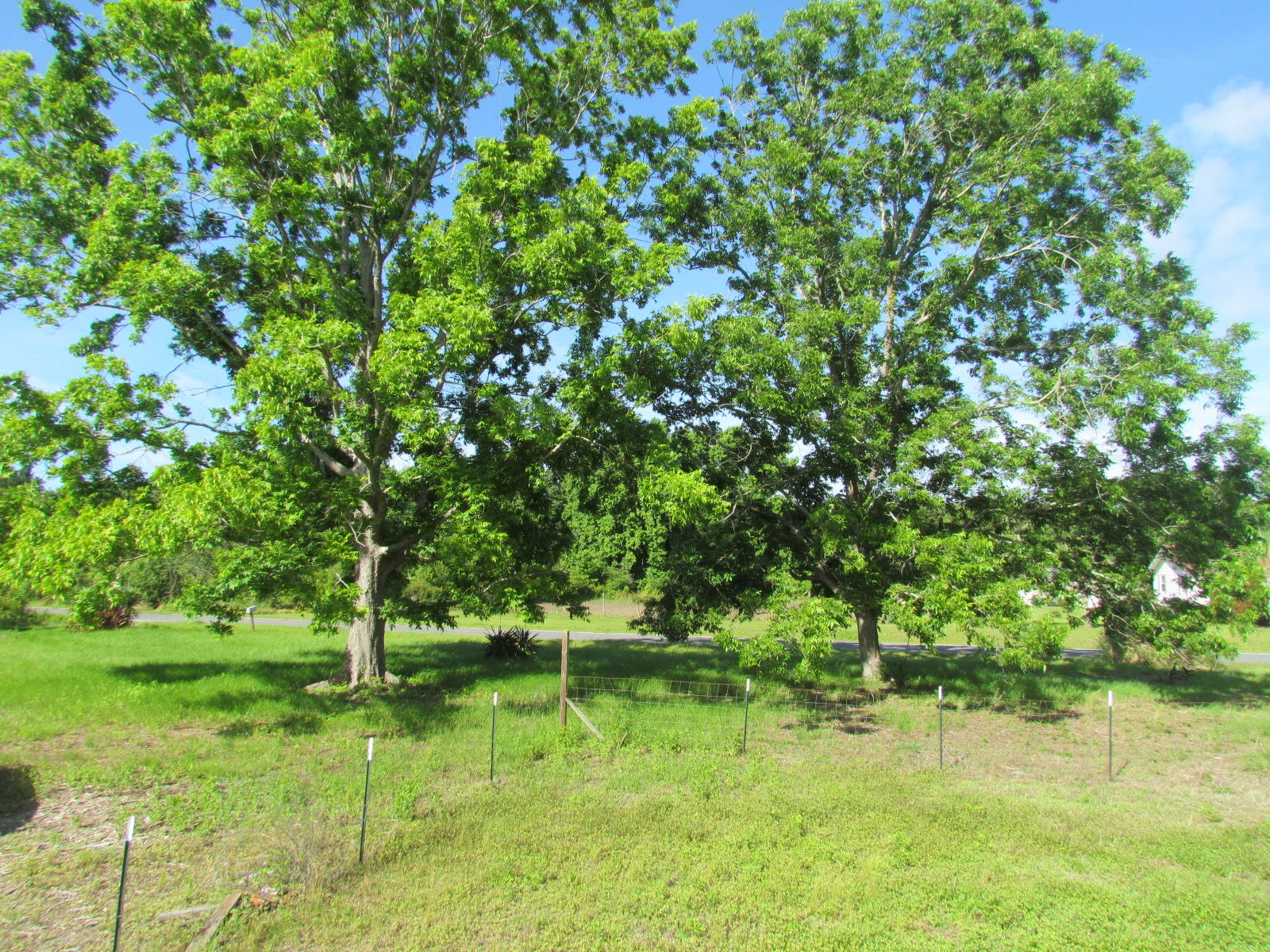 1474 Clark Road Edisto Island, SC 29438 - Photo 2 of 18 IMG_3277