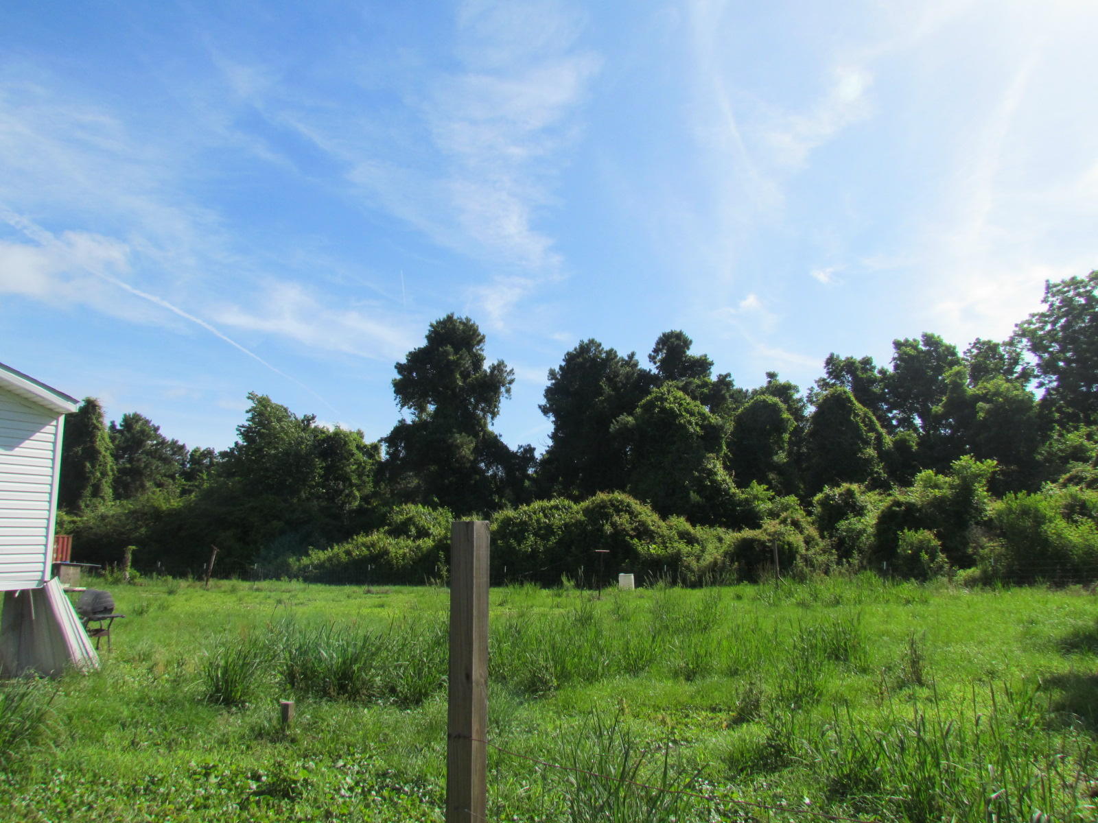 1474 Clark Road Edisto Island, SC 29438 - Photo 4 of 18 IMG_3280