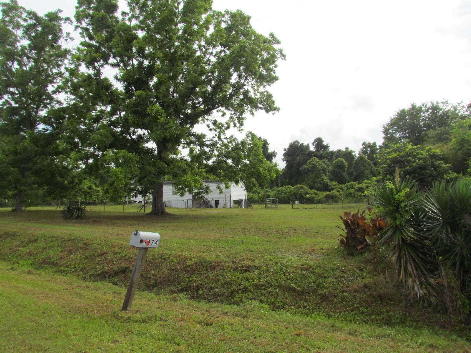 1474 Clark Road Edisto Island, SC 29438 - Photo 5 of 18 IMG_3285