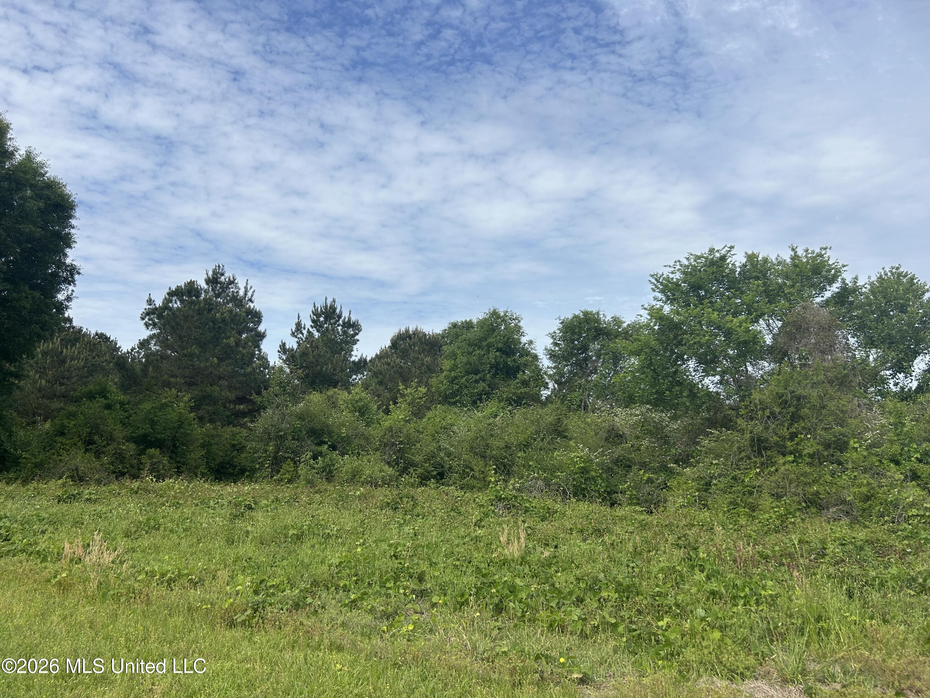 152 New Hope-Kokomo Road Foxworth, MS 39483 - Photo 3 of 6 IMG_4133