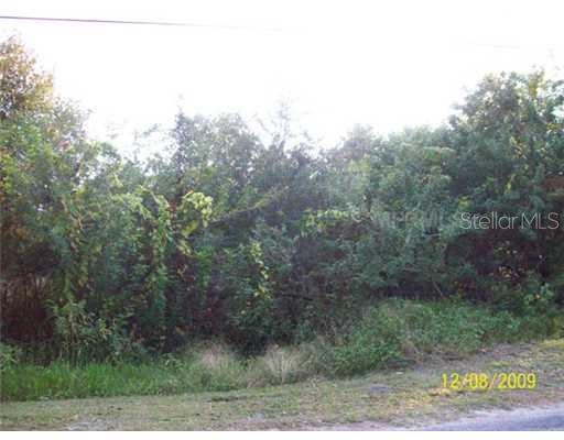 5377 Ruth Morris Road Wimauma, FL 33598 - Photo 1 of 1 Land