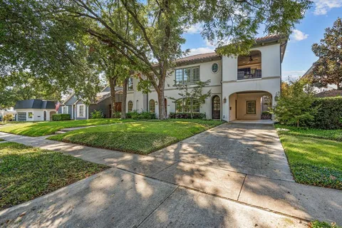 a view of a backyard with plants and large tree