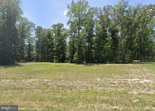 a view of a yard with trees