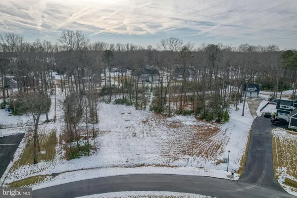 a bird view of house
