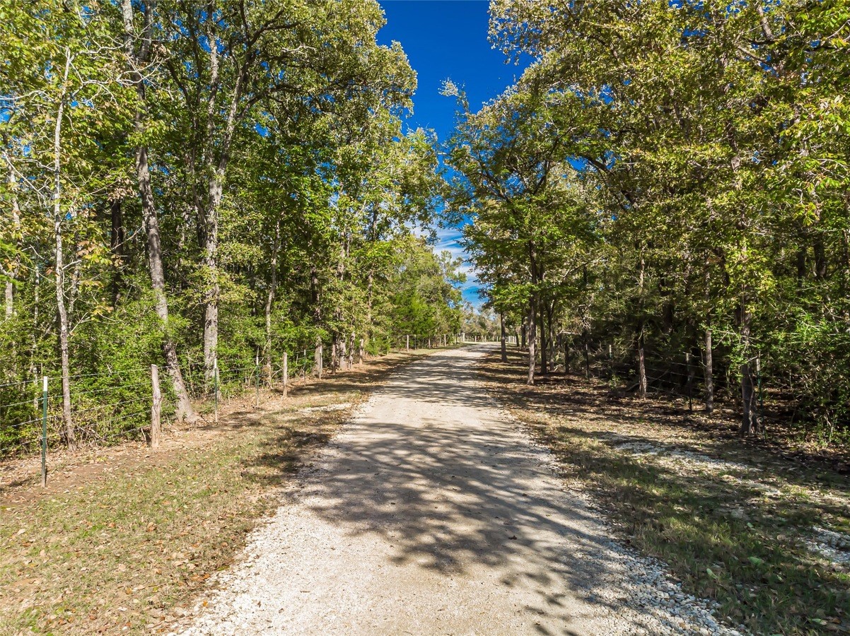 4999 Pin Oak Road Franklin, TX 77856 - Photo 4 of 47 a view of dirt yard with trees