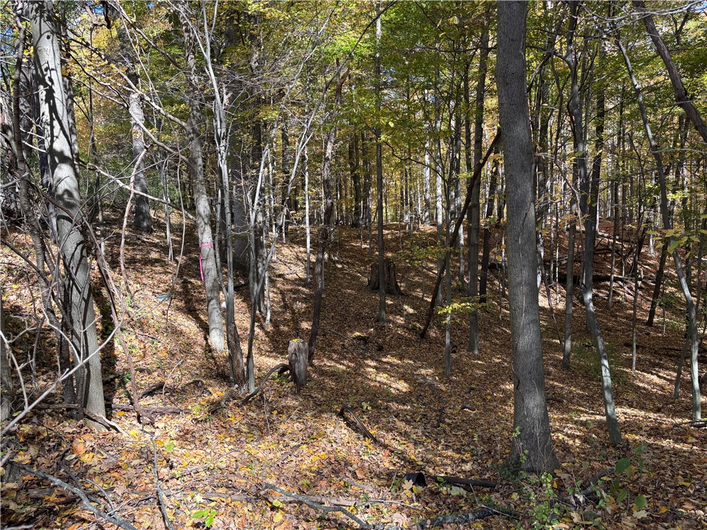 2507 Clayton Road Jerusalem, NY 14527 - Photo 22 of 23