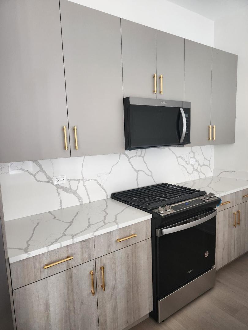 4625 South Michigan Avenue, Unit 1 Chicago, IL 60653 - Photo 3 of 21