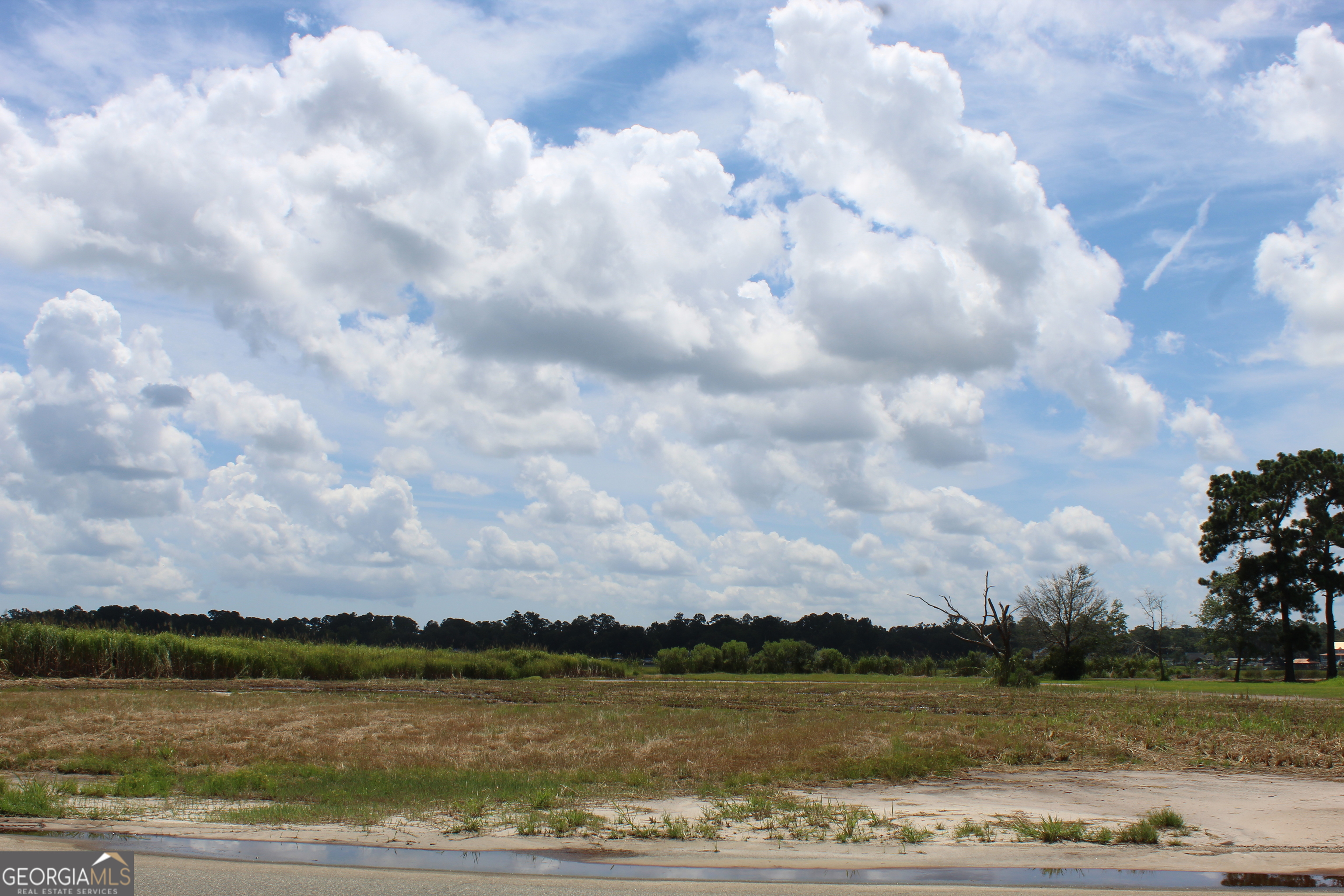 0 Jerico Marsh Road Midway, GA 31320 - Photo 2 of 11 a view of a lake with houses in the back