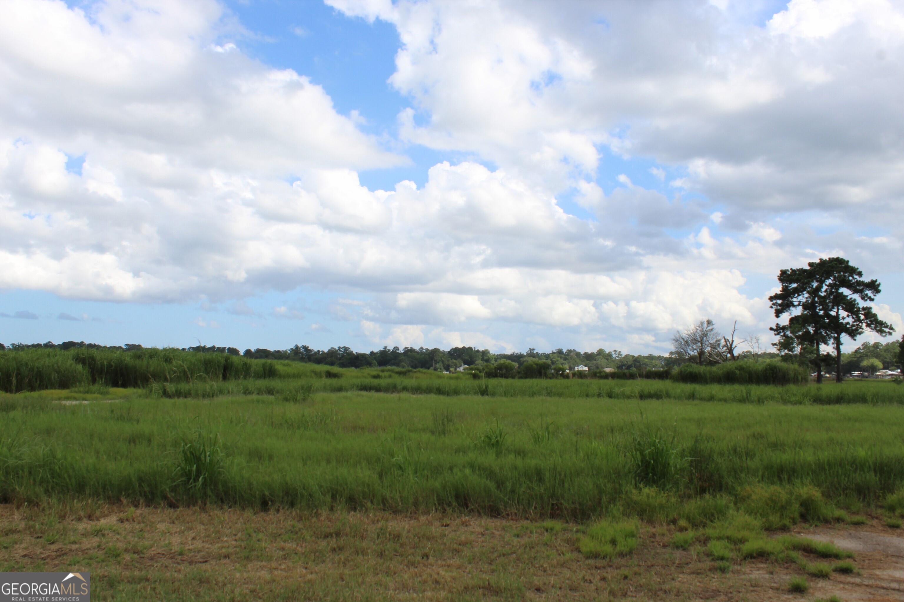 0 Jerico Marsh Road Midway, GA 31320 - Photo 3 of 11 a view of a lake with a big yard