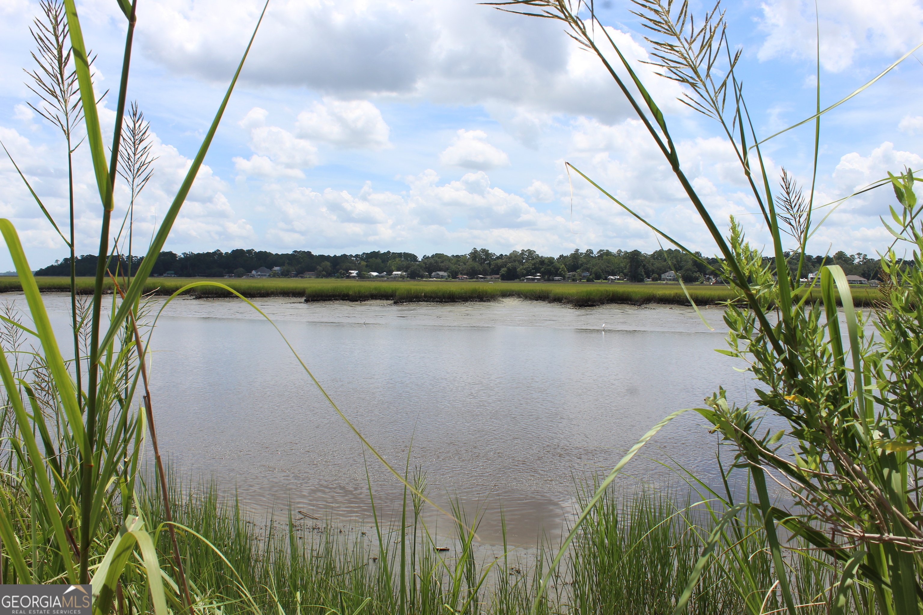 0 Jerico Marsh Road Midway, GA 31320 - Photo 5 of 11 a view of a lake with a mountain in the background
