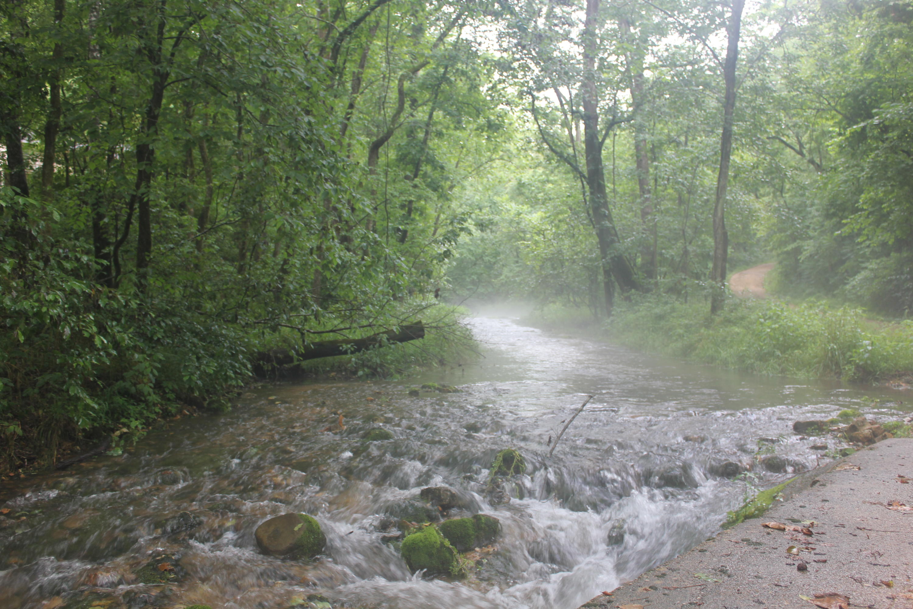 3 Rr Ava, MO 65608 - Photo 1 of 1 IMG_1349