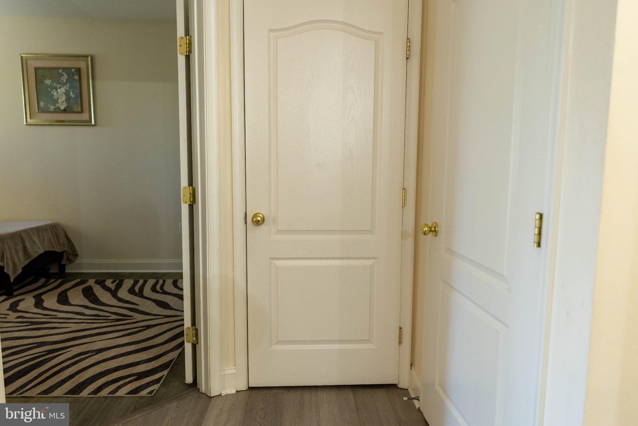 12824 Clarksburg Square Road, Unit 105 Clarksburg, MD 20871 - Photo 71 of 96 Inviting entryway with stylish doors.
