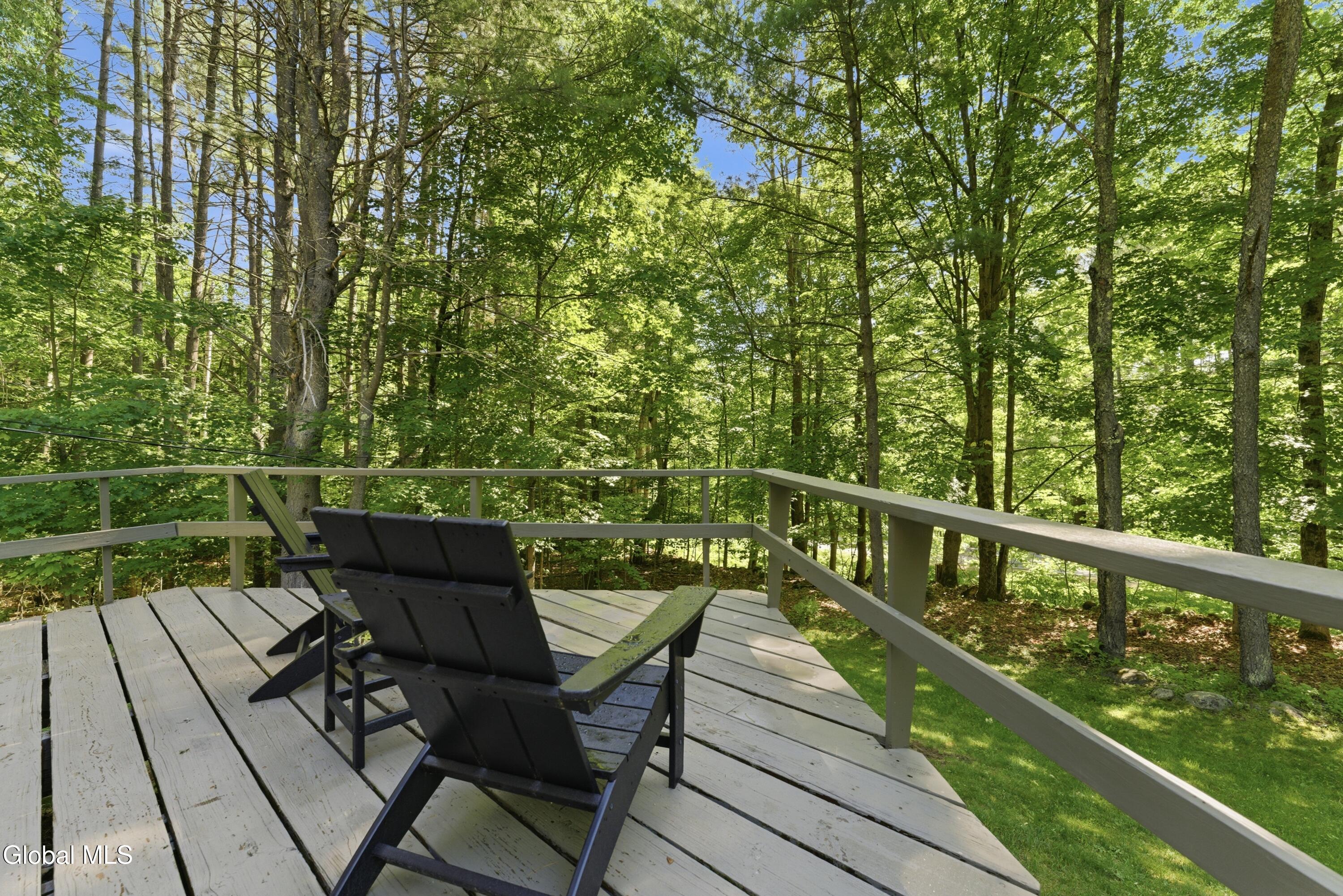 661 South Johnsburg Road Johnsburg, NY 12885 - Photo 24 of 34 DOD03890