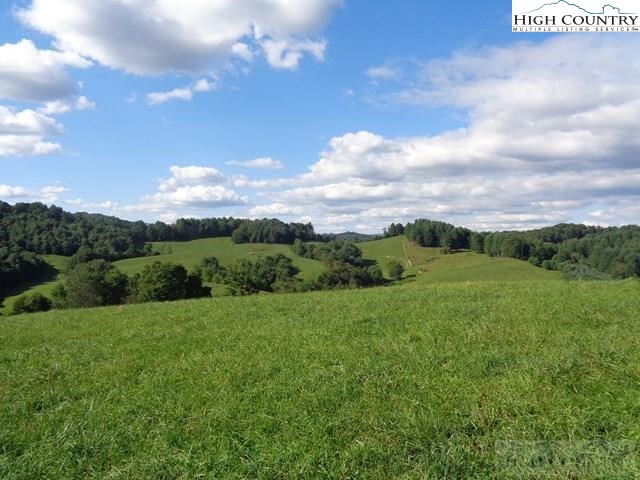 2053 Smithey Road Crumpler, NC 28617 - Photo 1 of 23 Gallery Image 1