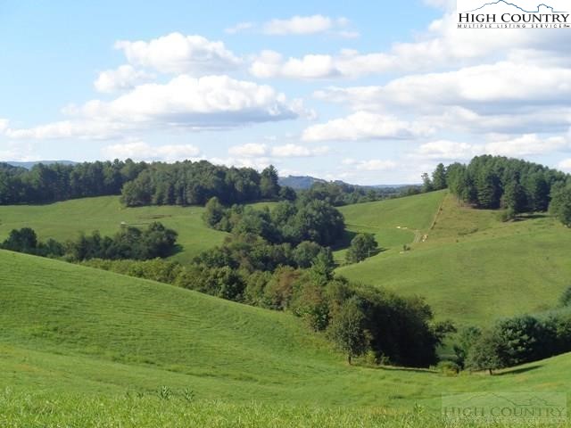 2053 Smithey Road Crumpler, NC 28617 - Photo 16 of 23 Gallery Image 16