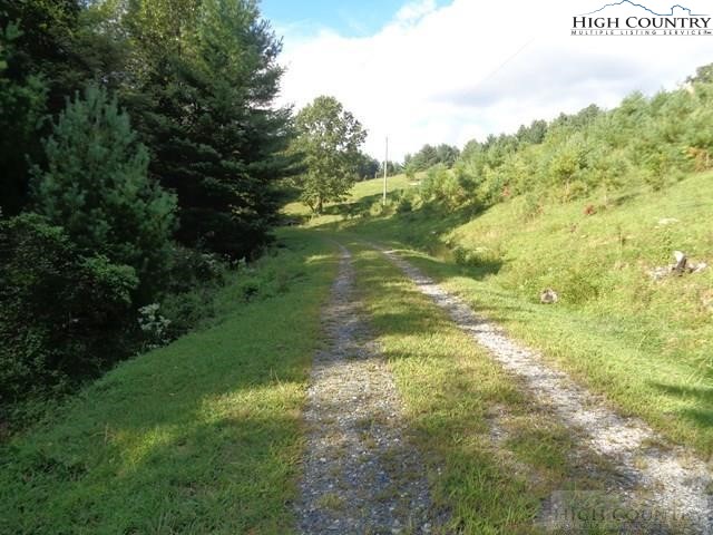 2053 Smithey Road Crumpler, NC 28617 - Photo 5 of 23 Gallery Image 5