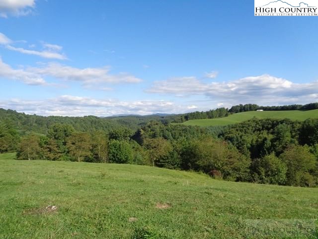 2053 Smithey Road Crumpler, NC 28617 - Photo 7 of 23 Gallery Image 7